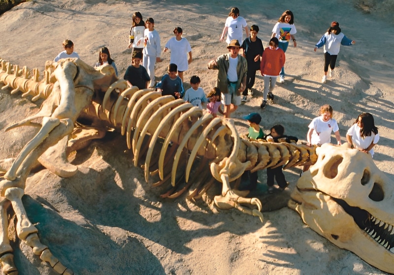 crianças vendo fóssil de tiranossauro rex no resort pedagógico sitio do carroção Tatuí São Paulo 