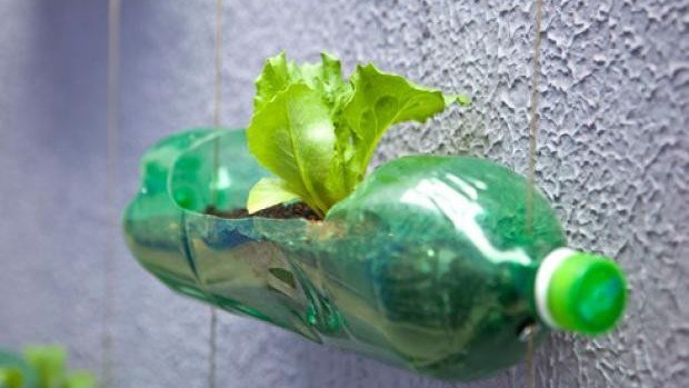 7 ideias divertidas de reciclagem com garrafa PET