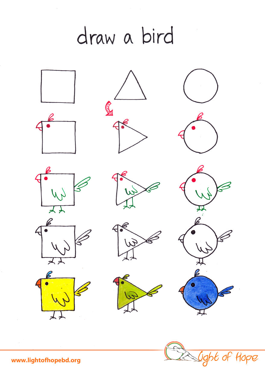 Como desenhar qualquer animal a partir de um circulo, um triângulo e um quadrado