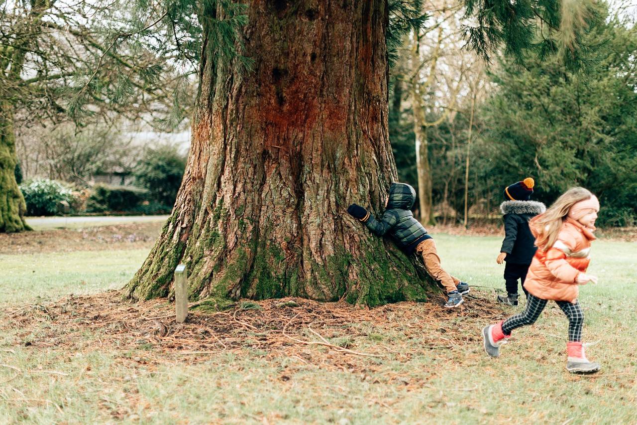 crianças brincando de esconde esconde em um parque cheio de árvores