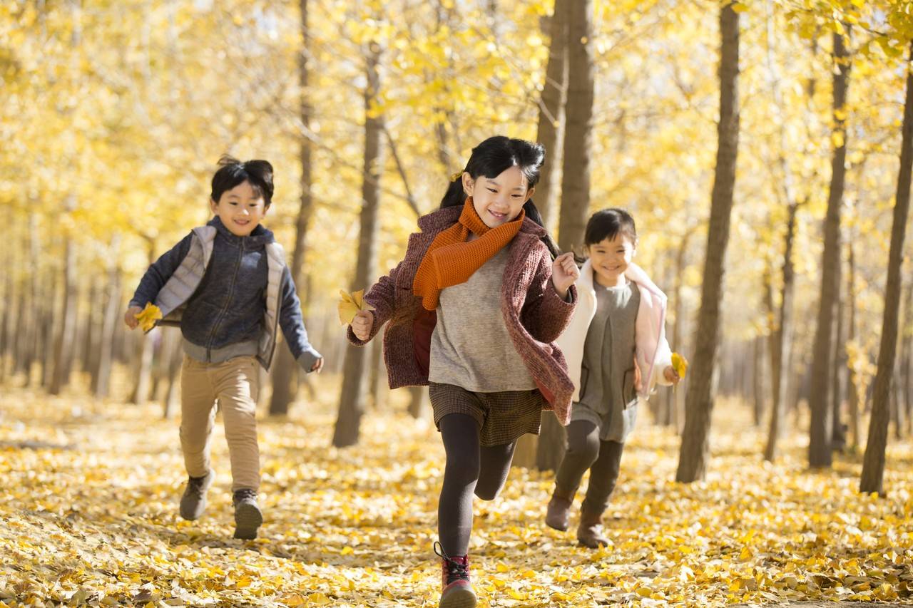 três crianças brincando em um parque durante o outono