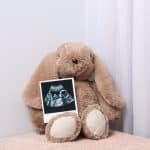 ursinho com a foto da ultrassom da 36 semanas de gestação do lado