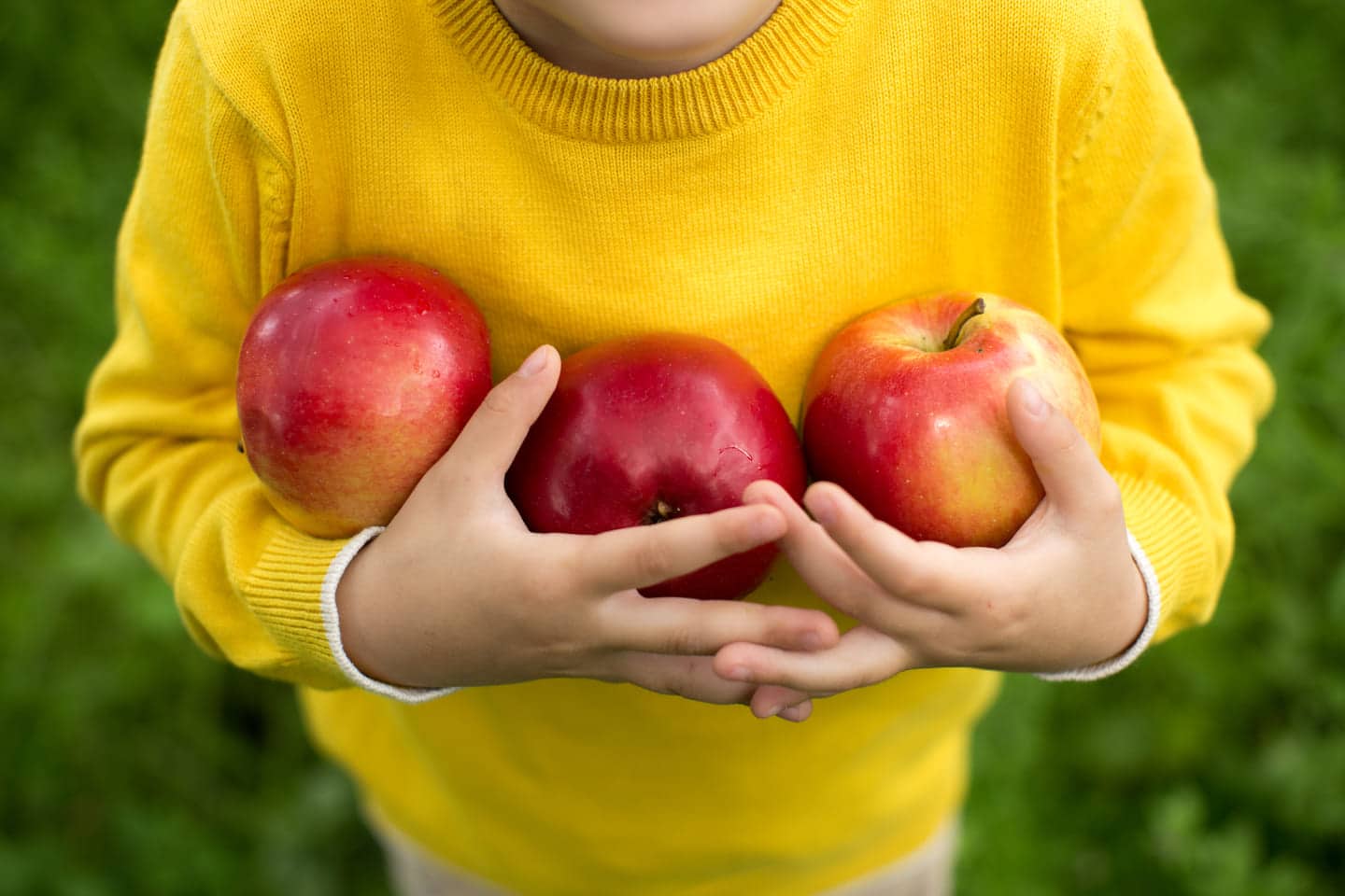 criança segurando três maçãs para brincar no hallowen