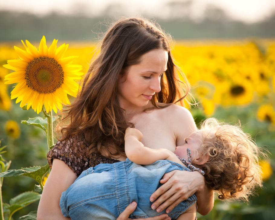 mulher amamenta criança em um campo de girassóis