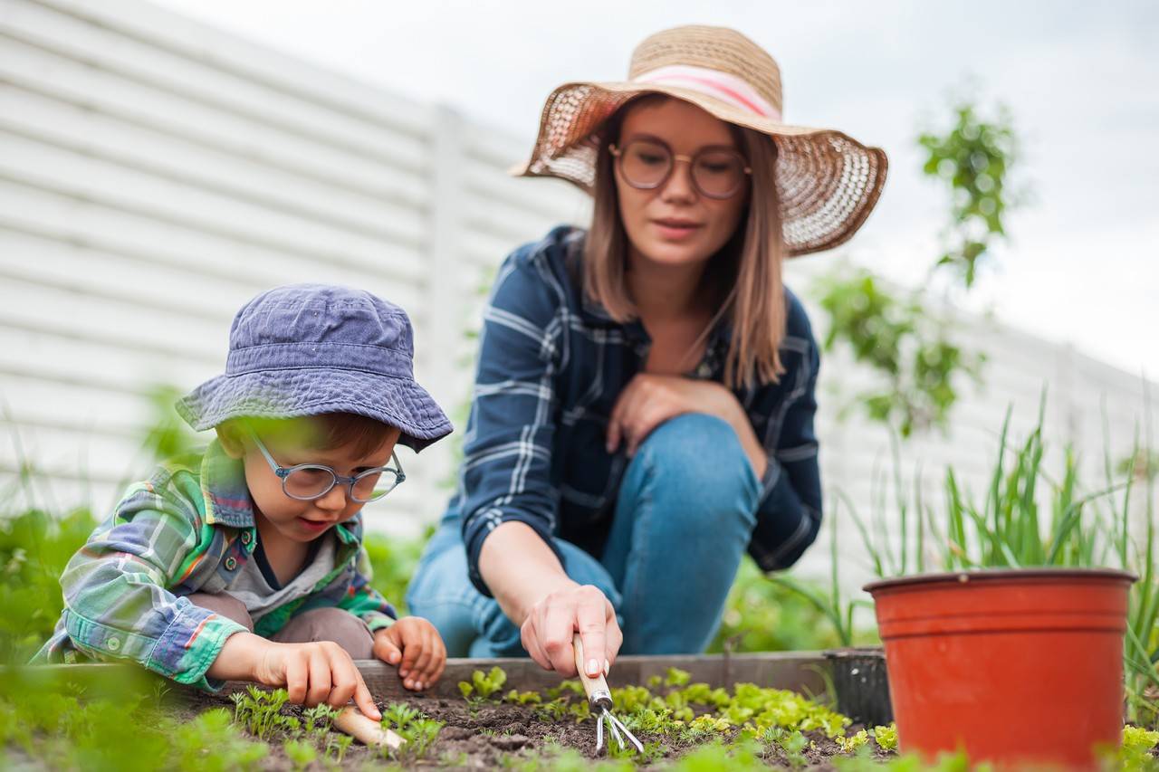 mãe e filho montando uma horta em casa