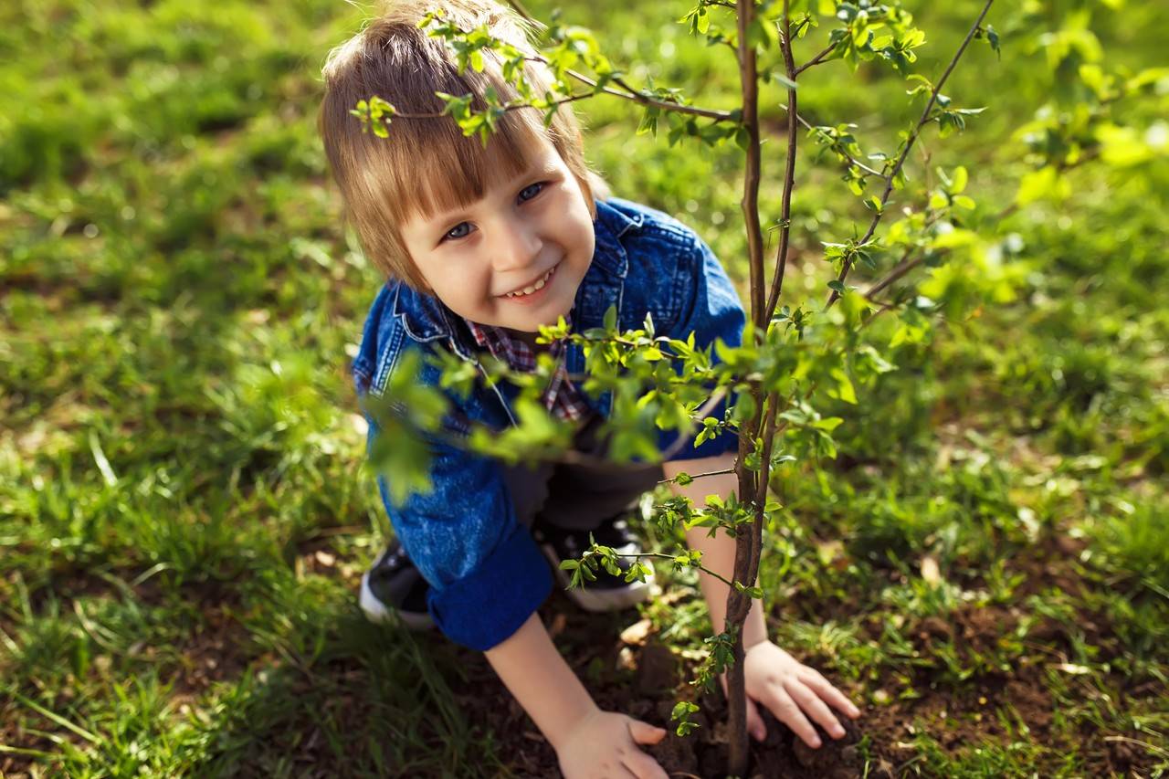 garotinho ajudando seu pai a plantar a árvore para cuidar do meio ambiente