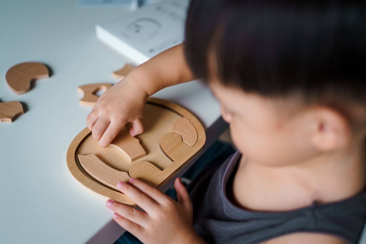 menino de 4 anos brincando com blocos de montar