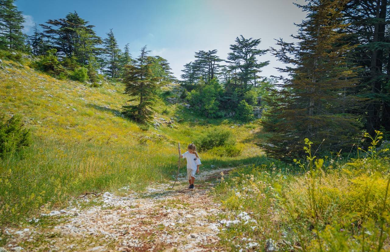 menina passeando em parques naturais e trilhas