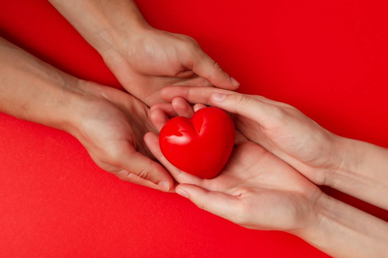  coração vermelho nos braços em um fundo vermelho doador de sangue